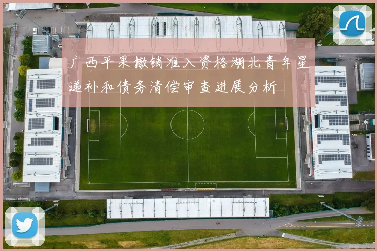 广西平果撤销准入资格湖北青年星递补和债务清偿审查进展分析