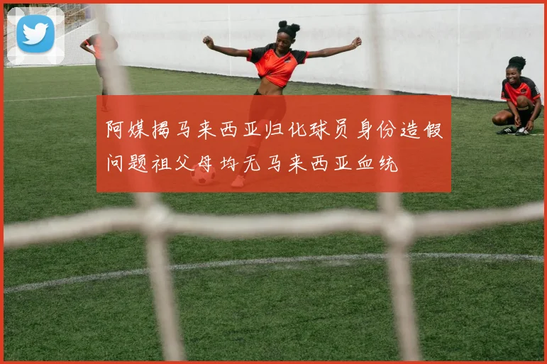 阿媒揭马来西亚归化球员身份造假问题祖父母均无马来西亚血统
