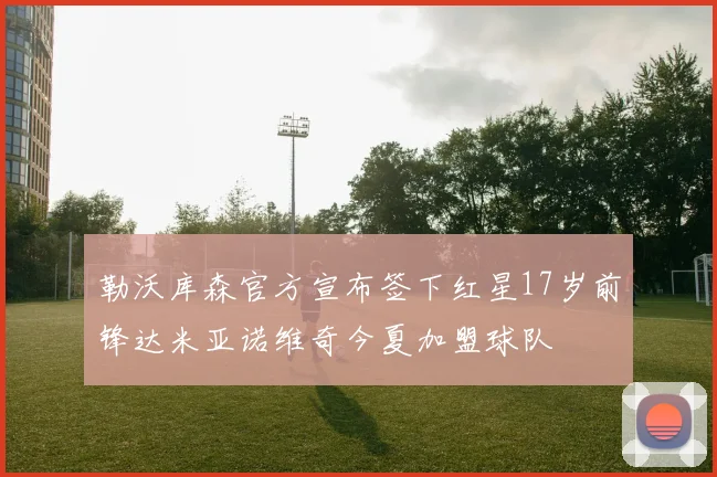 勒沃库森官方宣布签下红星17岁前锋达米亚诺维奇今夏加盟球队