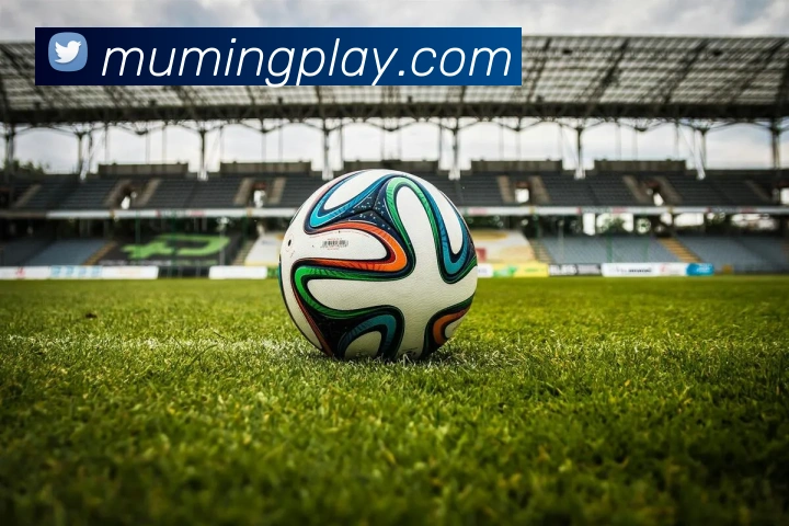 沐鸣娱乐平台生态图