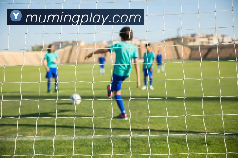 沐鸣娱乐APP 封面图